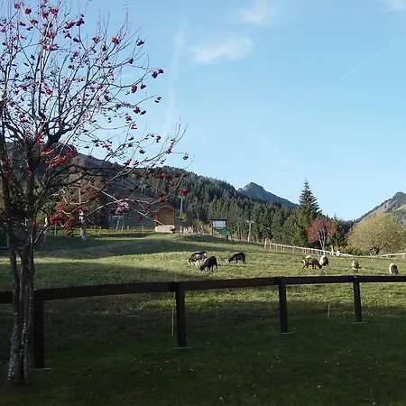 Chemin De Grenelet Torgon